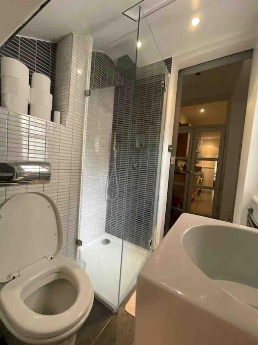 Large Studio Flat In Kensington London Kültér fotó